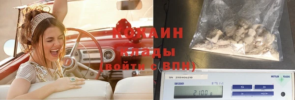 прущие грибы Балахна