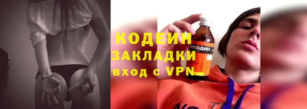 прущие грибы Балахна