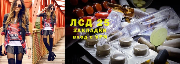 прущие грибы Балахна