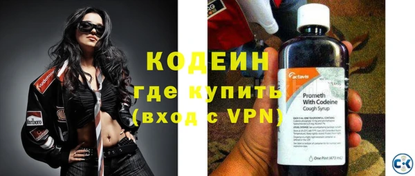 прущие грибы Балахна