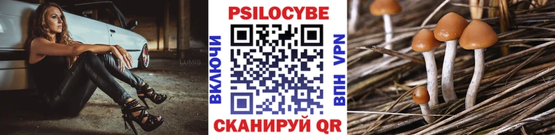 Купить  Нефтегорск  Галлюциногенные грибы прущие грибы 
